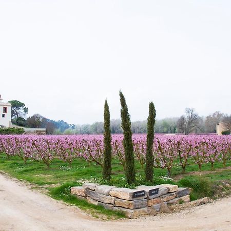 Hotel Rural Mas De L'Illa Tivissa Kültér fotó