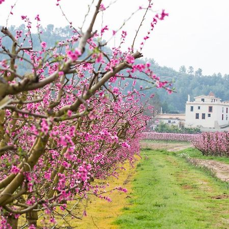 Hotel Rural Mas De L'Illa Tivissa Kültér fotó
