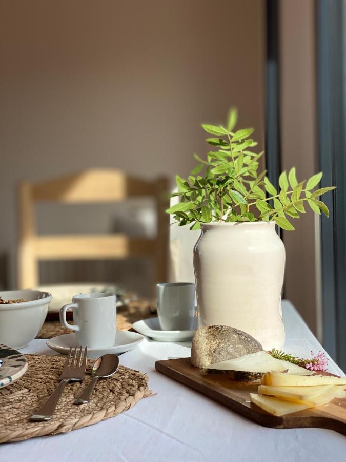 Hotel Rural Mas De L'Illa Tivissa Kültér fotó