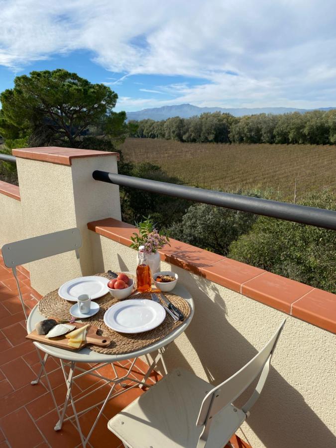 Hotel Rural Mas De L'Illa Tivissa Kültér fotó