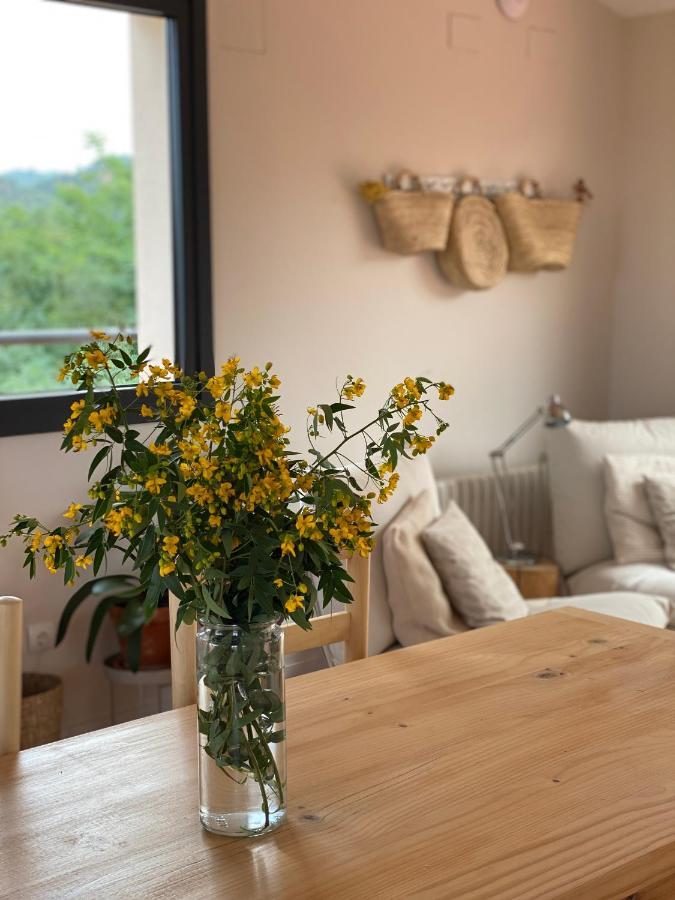 Hotel Rural Mas De L'Illa Tivissa Kültér fotó